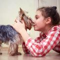 How to Control Pet Dander and Allergies: An Expert's Guide