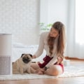 The Ultimate Guide to HEPA Filters: The Best Way to Remove Dust from Air