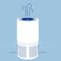 How Long Does it Take to See the Benefits of an Air Purifier?