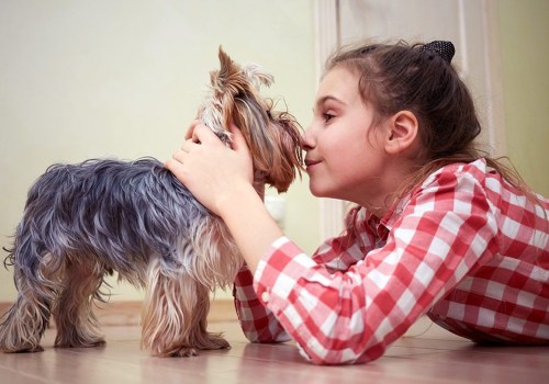 How to Control Pet Dander and Allergies: An Expert's Guide