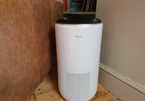 Do Air Purifiers Filter Pet Dander? An Expert's Guide