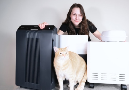 The Best Air Purifier for Pet Dander: How to Choose the Right One