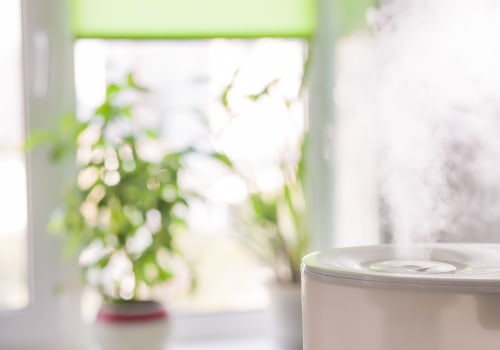 What is the Cleanest Natural Air Filter for Your Home?