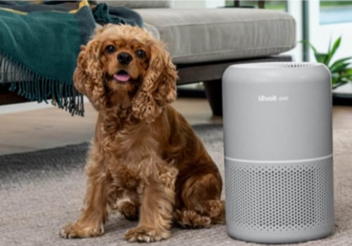 Can Air Filters Help with Pet Dander and Hair? - An Expert's Perspective