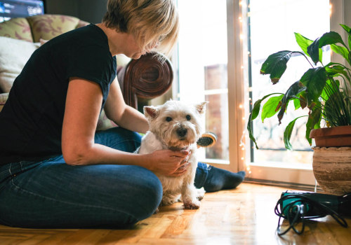 How to Reduce Pet Dander and Keep Your Home Healthy