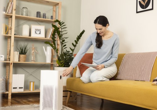 Do Air Purifiers Help with Dust and Dander?